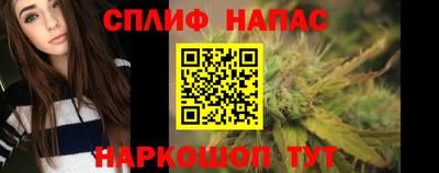 шишки Будённовск