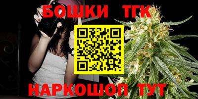шишки Будённовск