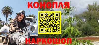 шишки Будённовск