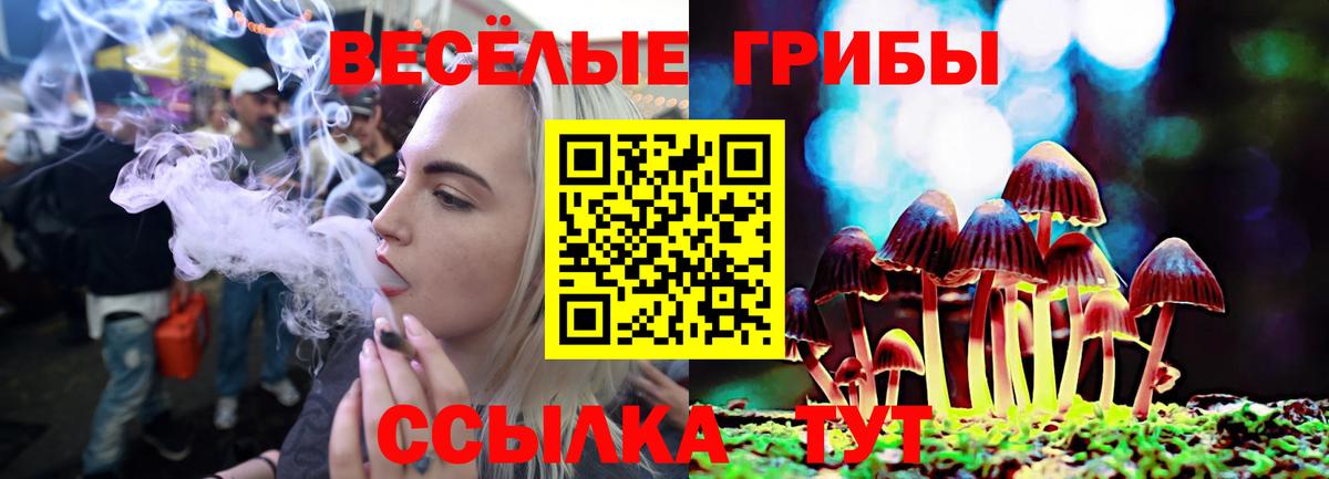 наркошоп  Вход с VPN  Псилоцибиновые грибы GOLDEN TEACHER  Ессентуки  Псилоцибиновые грибы мухоморы 