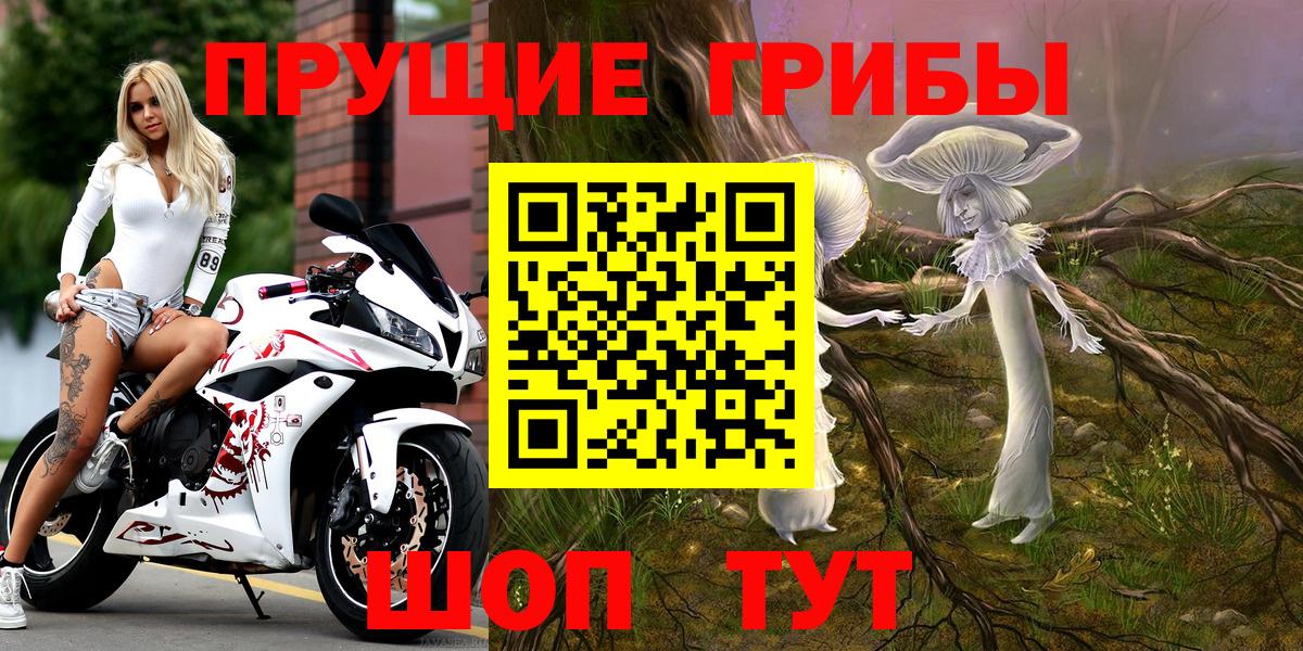 Галлюциногенные грибы Cubensis Ессентуки